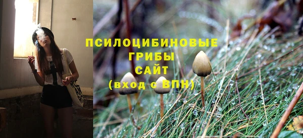 тгк Медногорск